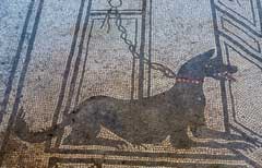 Mosaic ancient Egyptian dog