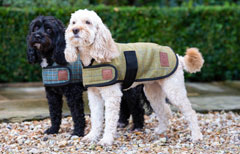Tweed Dog Coats by Ginger Ted