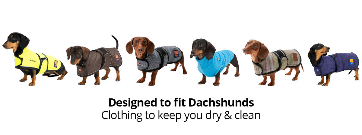 dachshund dog clothing by ginger ted. waterproof coats, harness coats, dachshund fleeces, tweed dachshund coats and drying robes to fit dachshunds