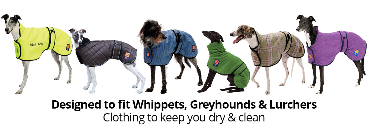 dog clothing to fit whippets, greyhounds, lurchers, salukis, podenco, galgos and sighthounds by ginger ted