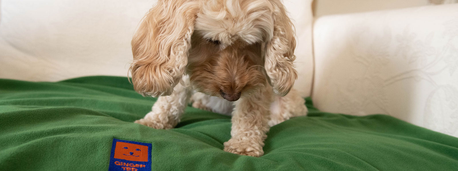 Ginger Ted Dog & Pet Travel Products. Includes blankets and waterproof car seat covers. Ideal for travel & outdoors