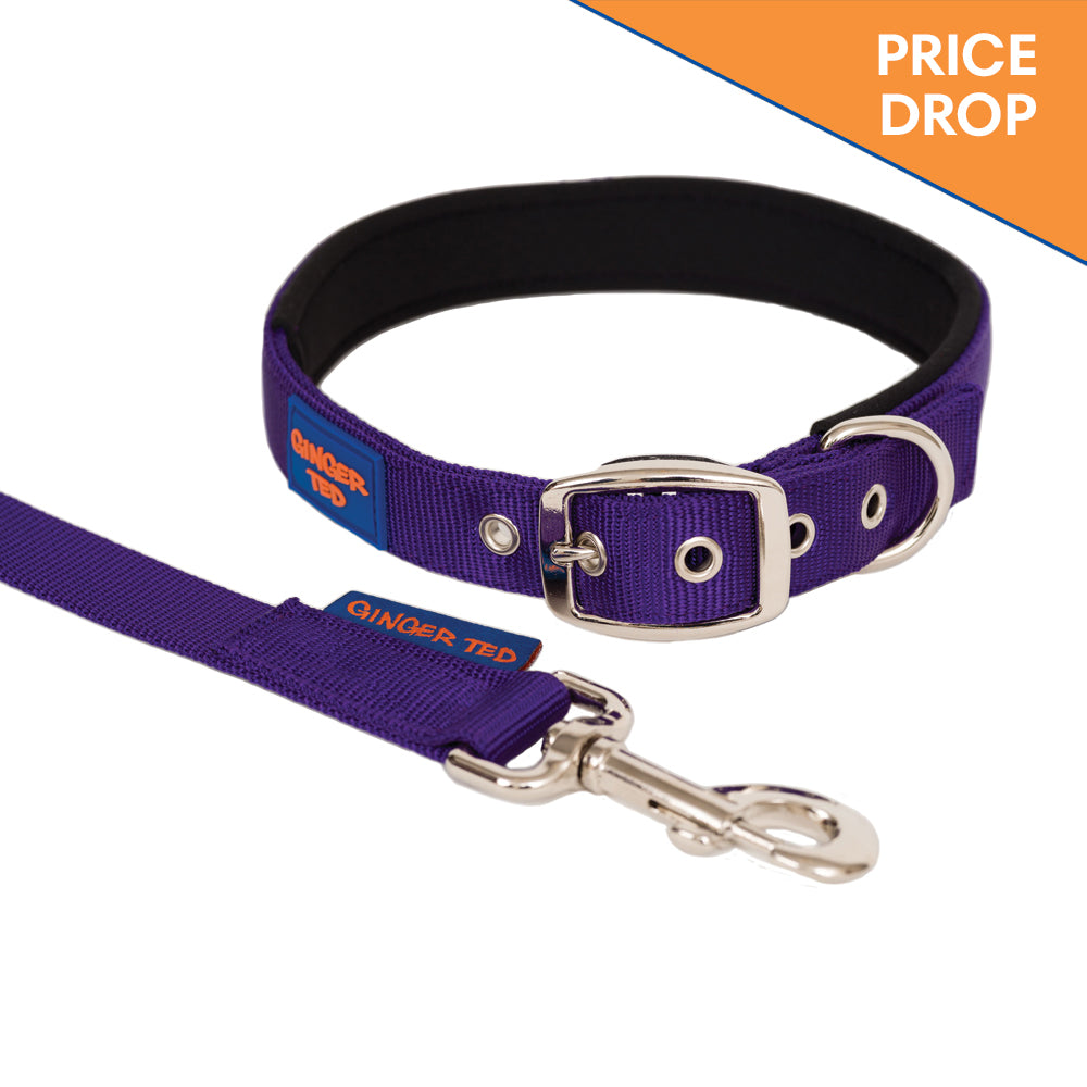 Comfort Nylon Padded Adjustable Dog Collar & Lead Value Pack