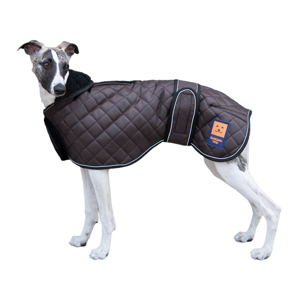 Ginger Ted Thermal Quilted Greyhound Coat. Warm fleece lining, reflective piping, harness slot. For whippets, lurchers & greyhounds