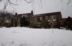 Dog Friendly in Yorkshire