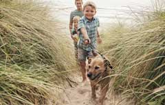 dog friendly UK travelling with your dog ginger ted