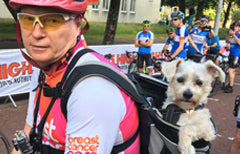 One Dog And His Bike