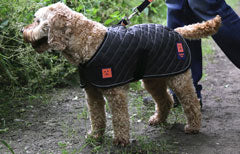 thermal quilted harness dog coat by ginger ted