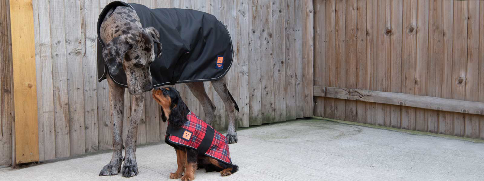 CLOTHING FOR STANDARD DOGS & CROSS BREEDS