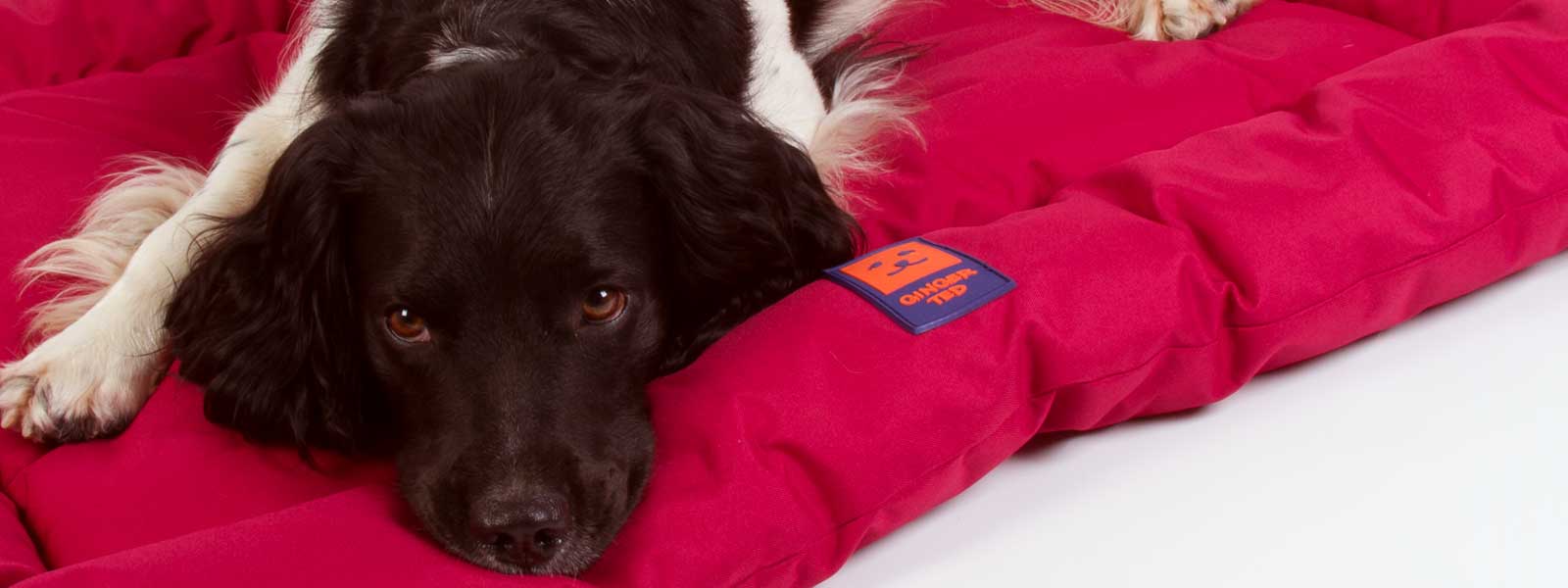 Ginger Ted Dog Beds & Blankets. Includes Deep Cushions, Waterproof Mattresses & Covers. Ideal for indoors, crates & cars