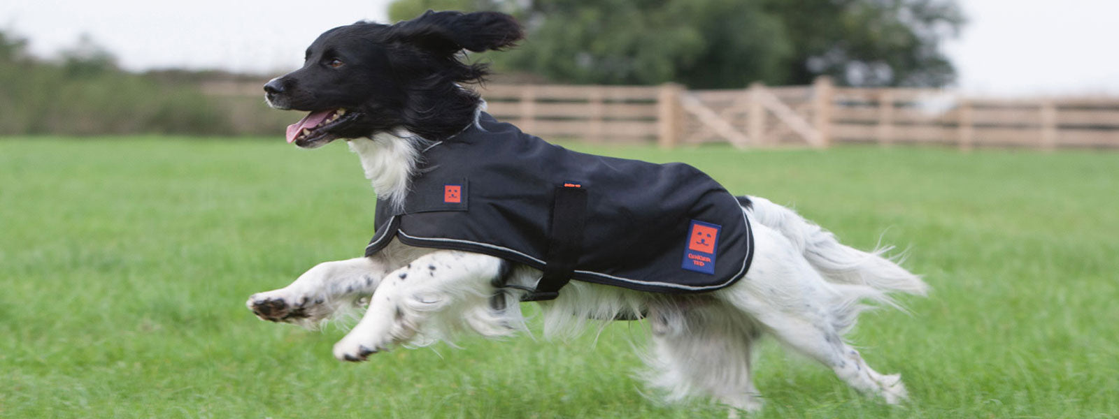 Ginger Ted lightweight waterproof dog coats & clothing. Ideal for Spring/Summer or dogs with thick fur