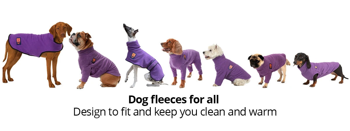 Jumpers with 2025 dogs on them