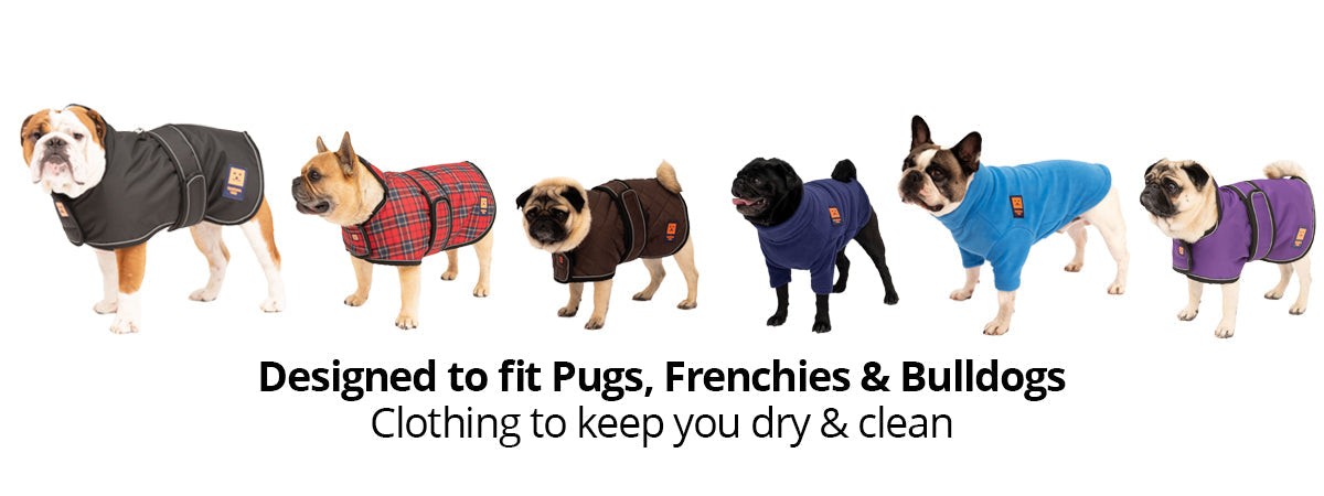 dog clothing to fit pug, french bulldogs and english bulldogs by ginger ted