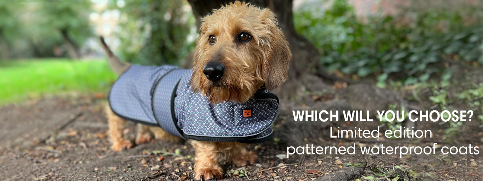 Limited Edition Waterproof Raincoats