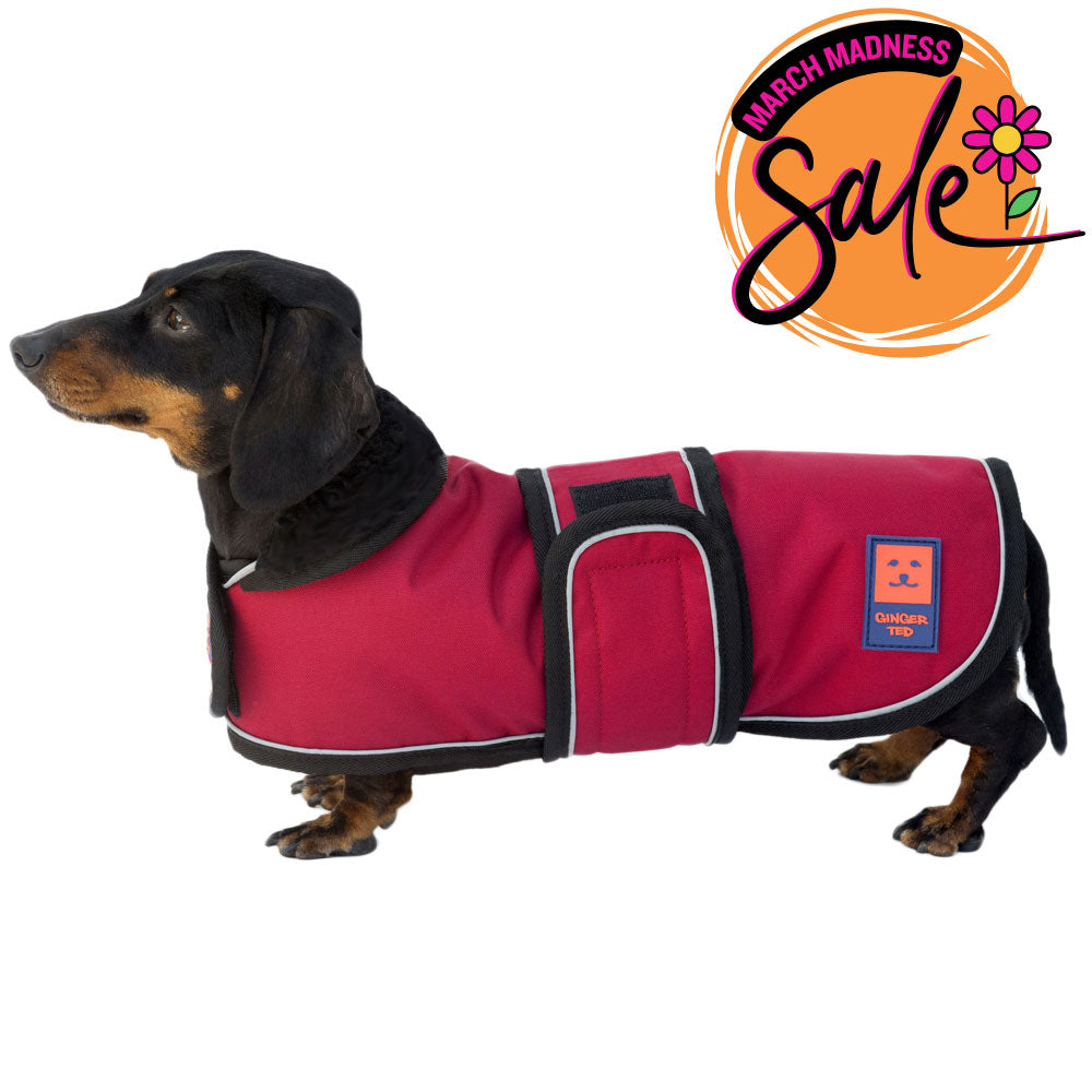 Waterproof Lightweight Dachshund Dog Coat