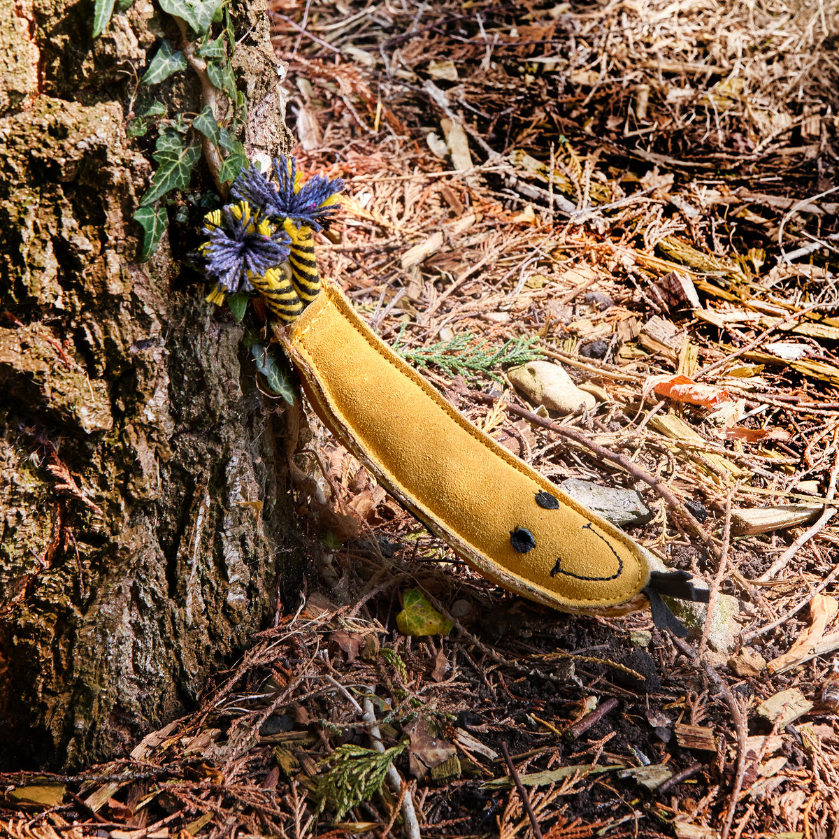 Barry Banana Eco Toy