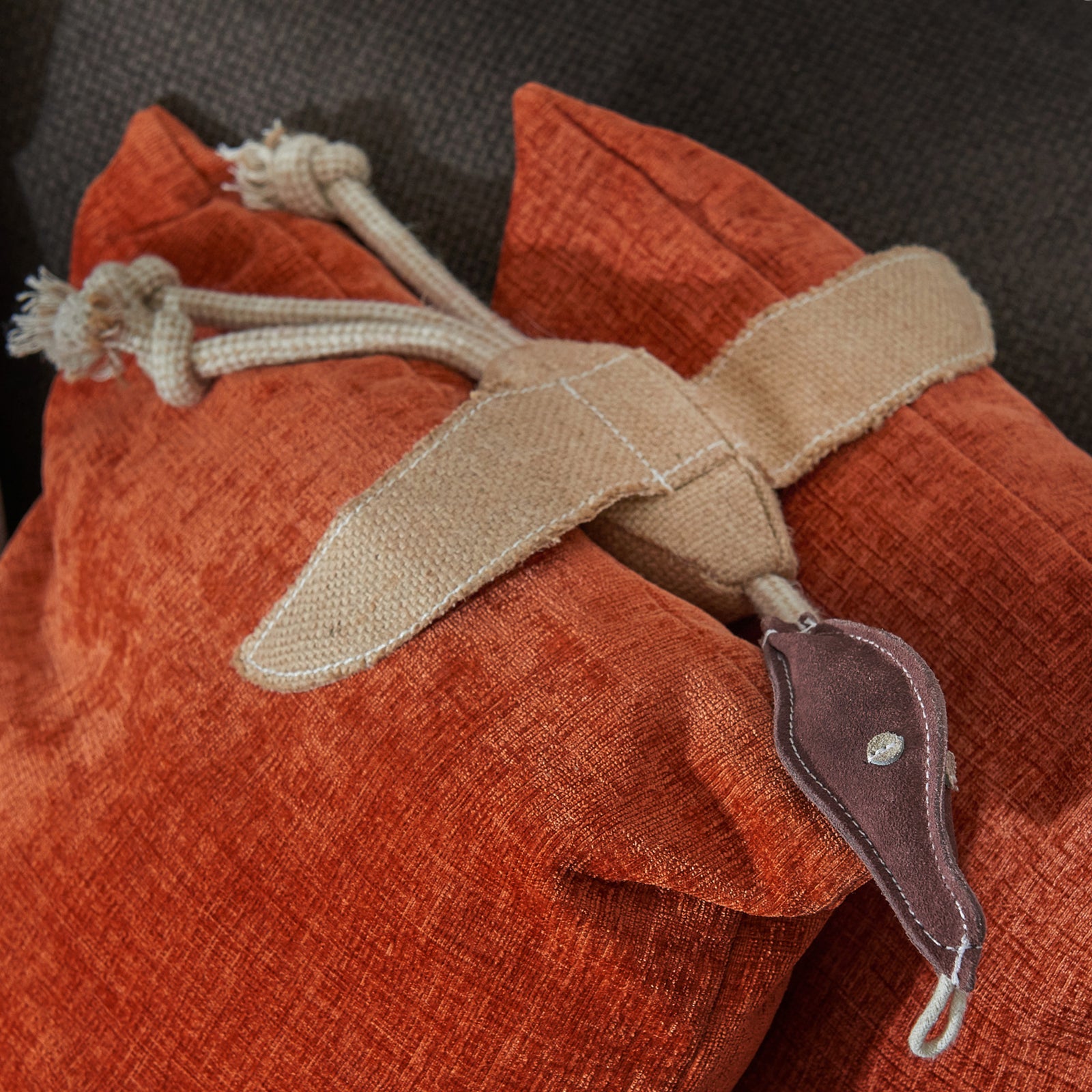 Desmond Duck Eco Toy