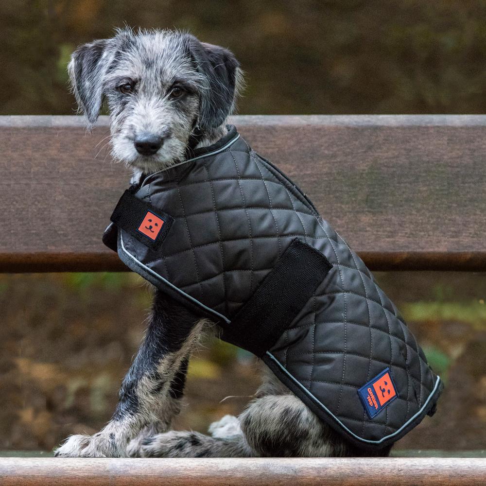 Ginger Ted Dog Clothing, Waterproof Dog Coats & Dog Jumpers