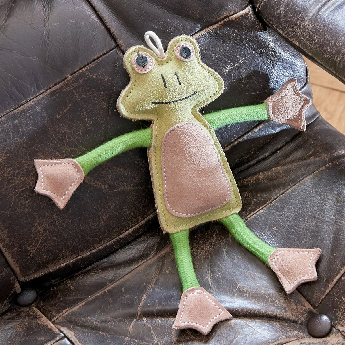 Francois Frog Eco Toy