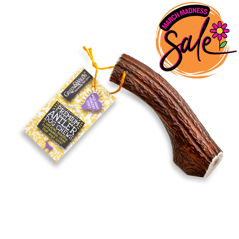 Premium Antler Dog Chew - Extra Large