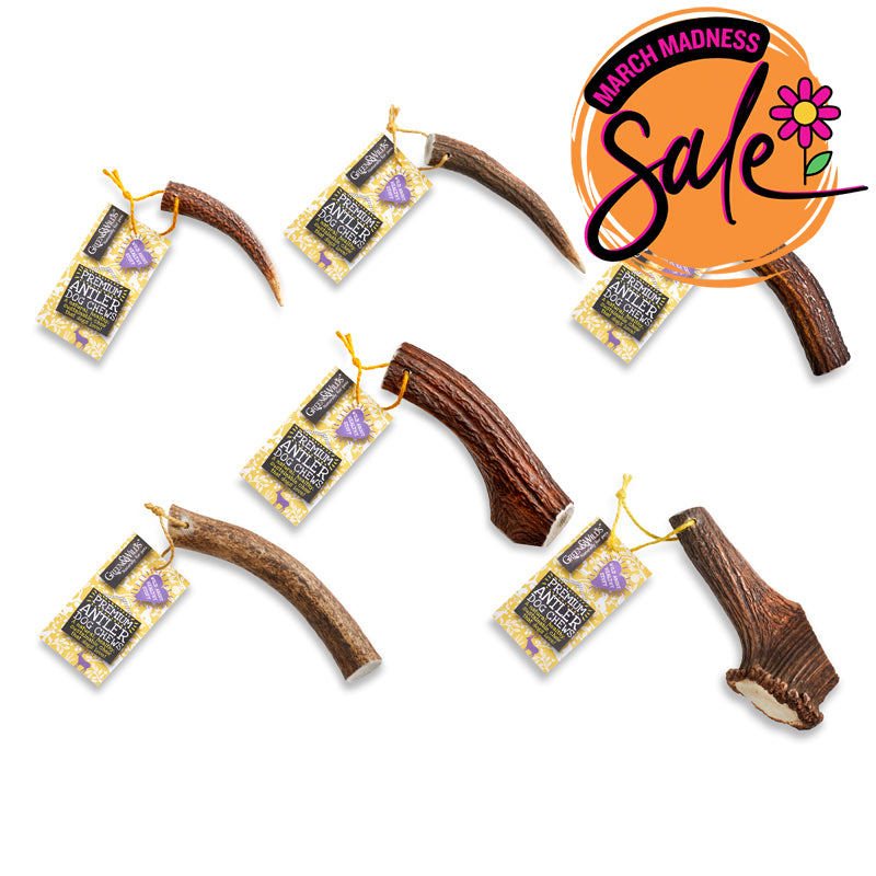 Premium Antler Dog Chew - Large