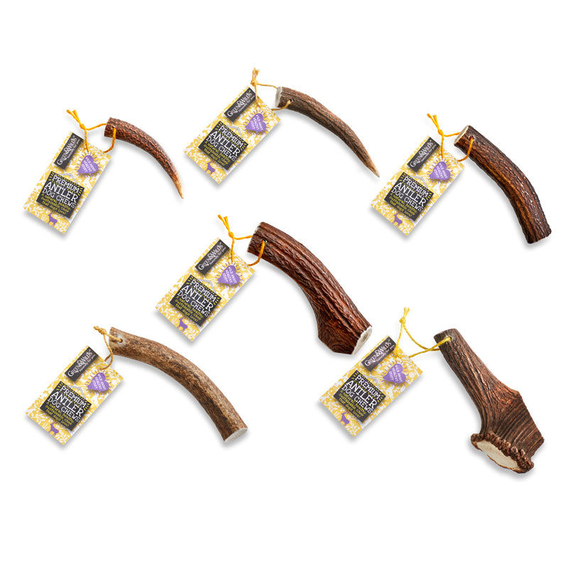 Premium Antler Dog Chew - Small
