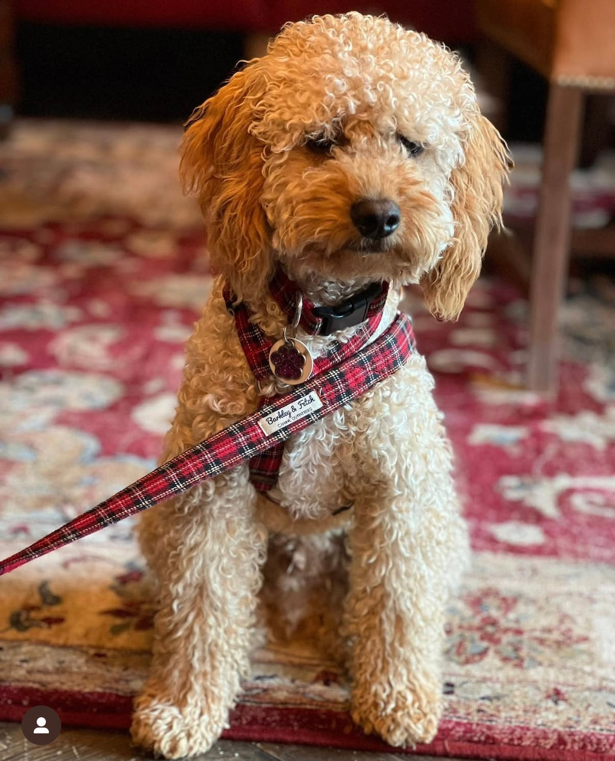 Barkley &amp; Fetch Red Tartan Dog Collar
