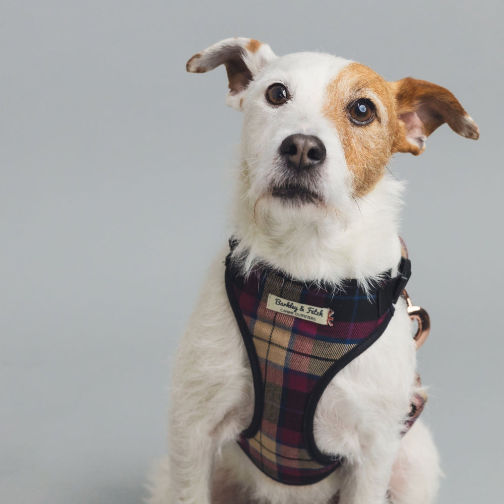 Barkley &amp; Fetch Wine Tartan Soft Harness