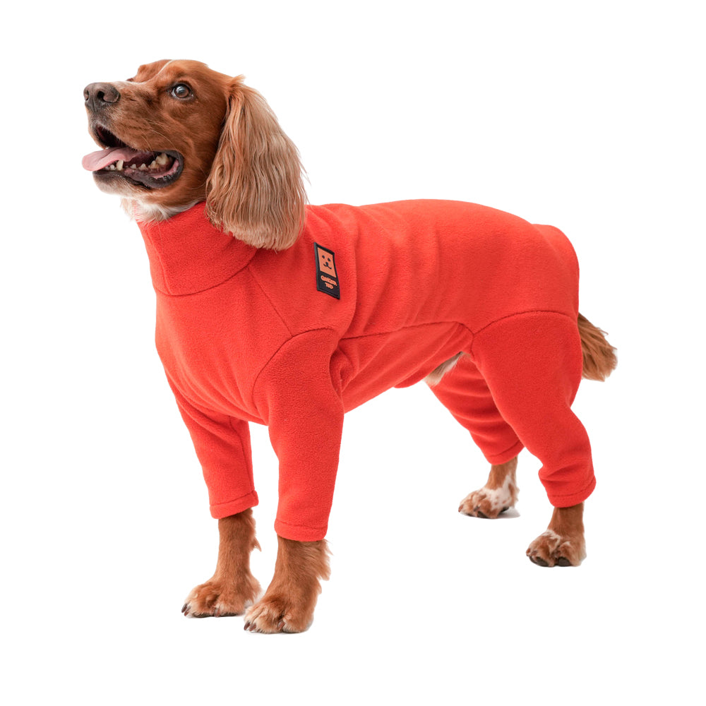 B&m dog jumpers Clearance