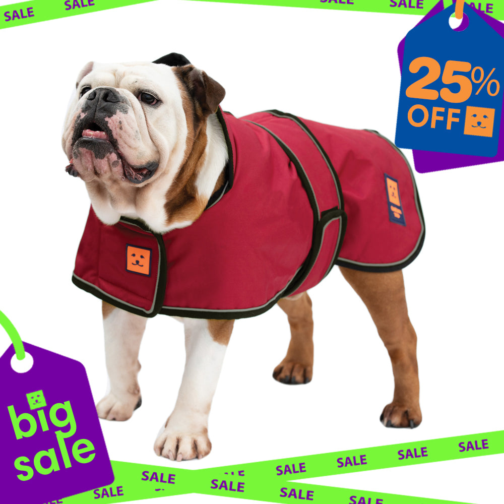 Waterproof Bulldog Coat with Warm Lining