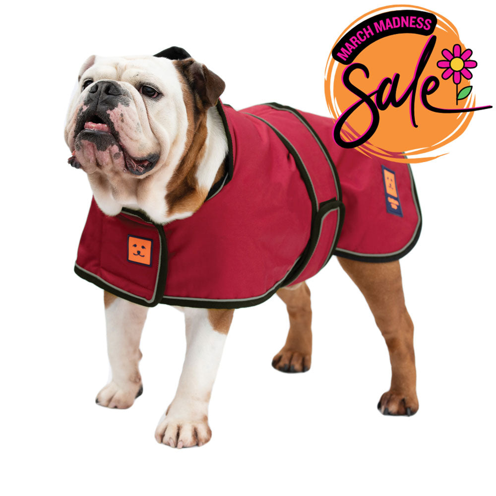 Waterproof Bulldog Coat with Warm Lining
