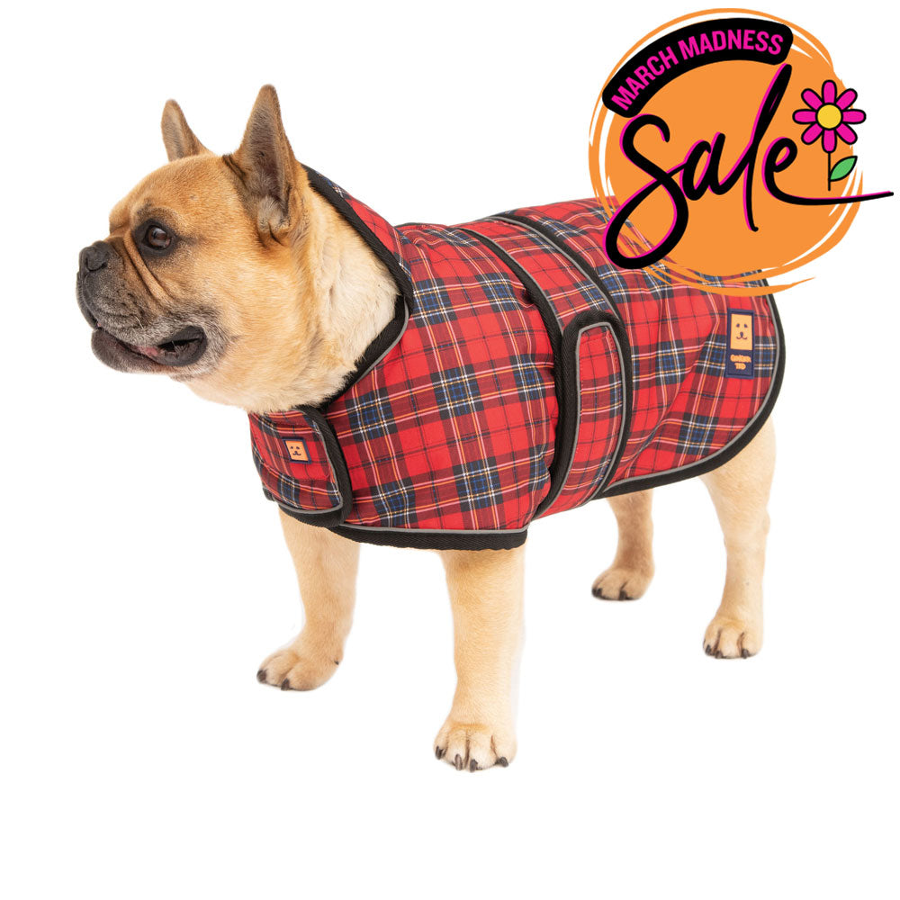 Waterproof Bulldog Coat with Warm Lining