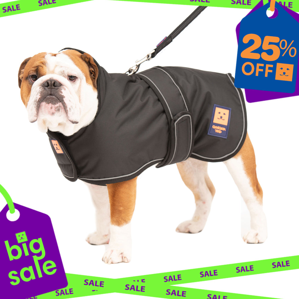 Waterproof Bulldog Coat with Warm Lining