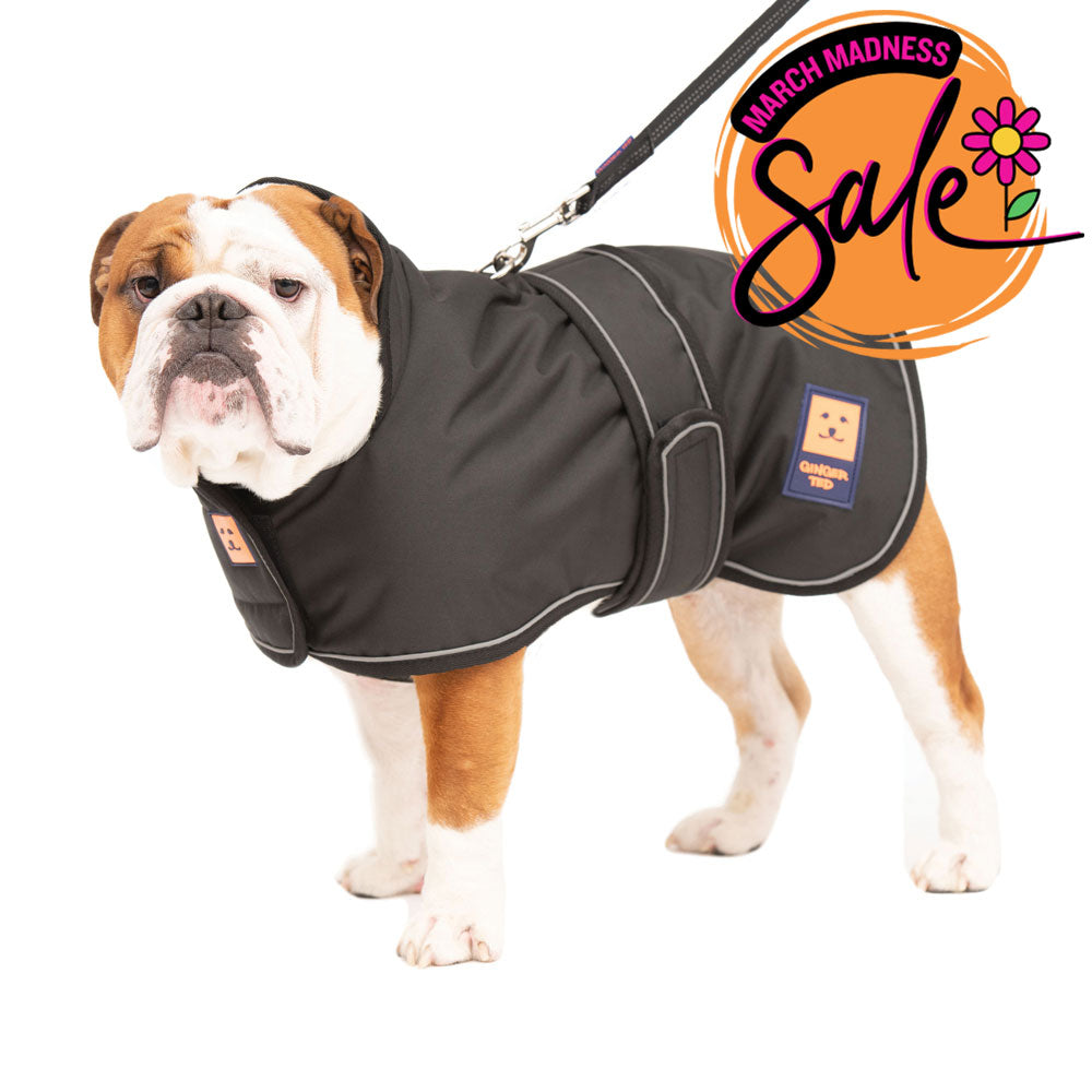 Waterproof Bulldog Coat with Warm Lining