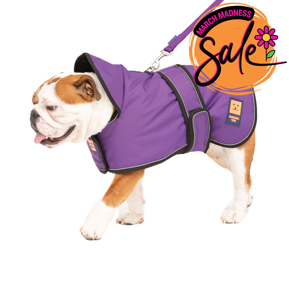 Waterproof Bulldog Coat with Warm Lining