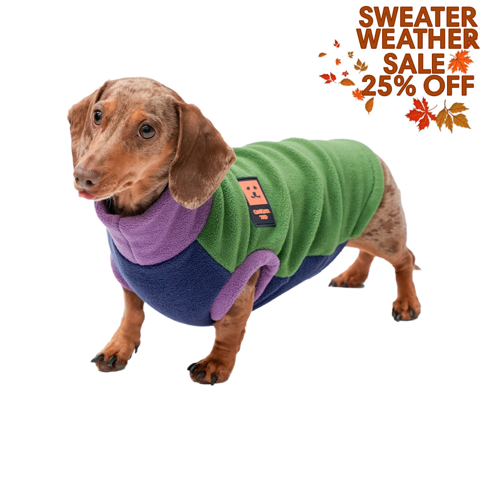 Cosy Fleece Dachshund Multi-Coloured Jumper (Limited Edition)