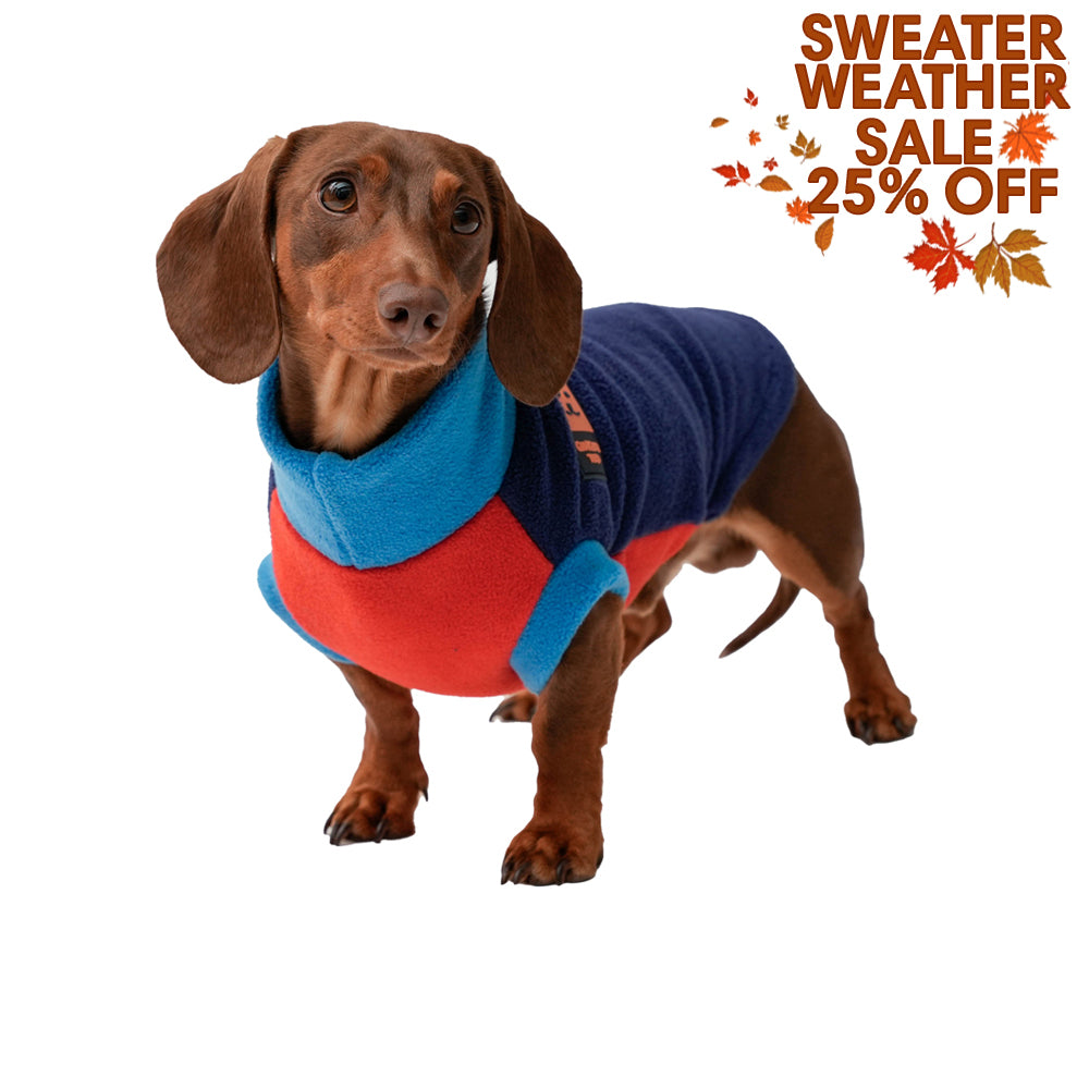 Cosy Fleece Dachshund Multi-Coloured Jumper (Limited Edition)