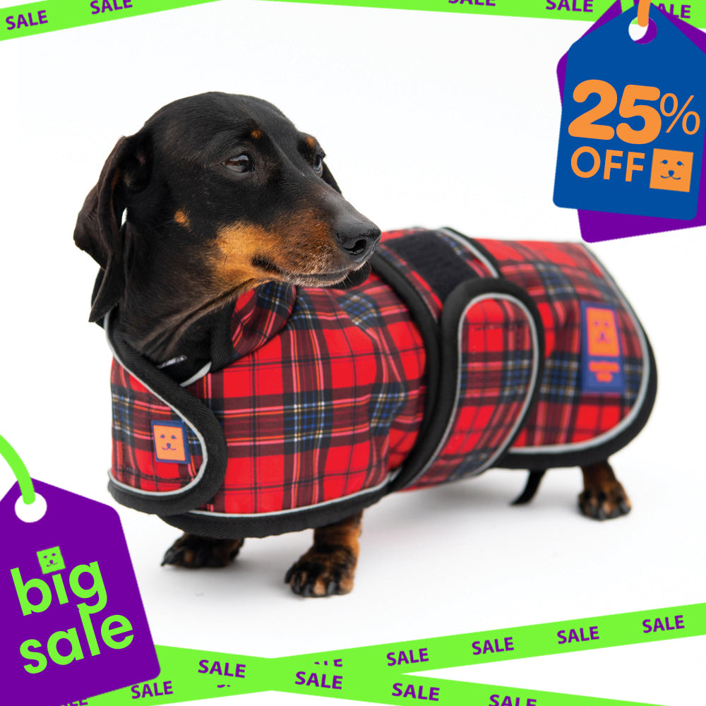 Waterproof Dachshund Dog Coat with Warm Lining