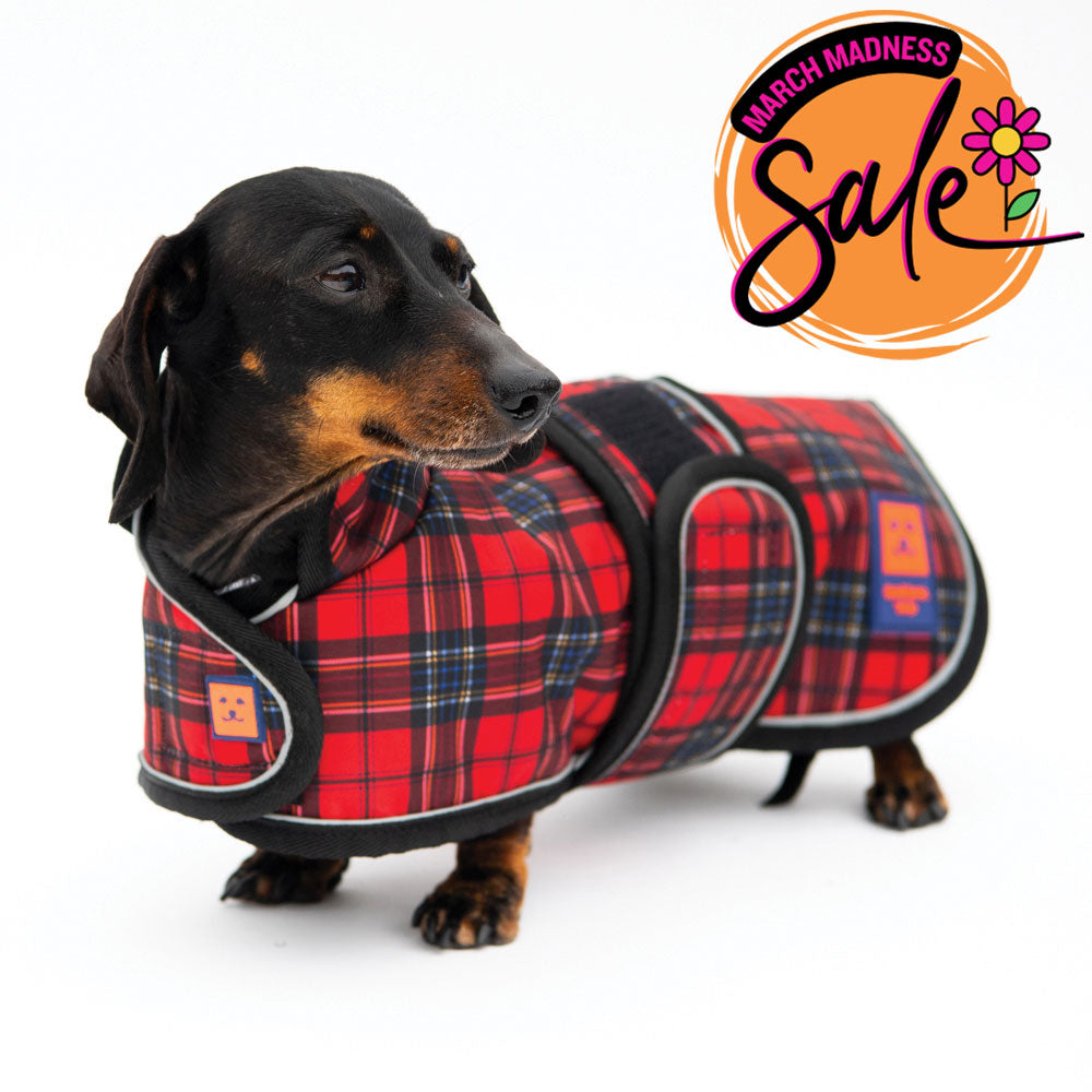 Waterproof Dachshund Dog Coat with Warm Lining