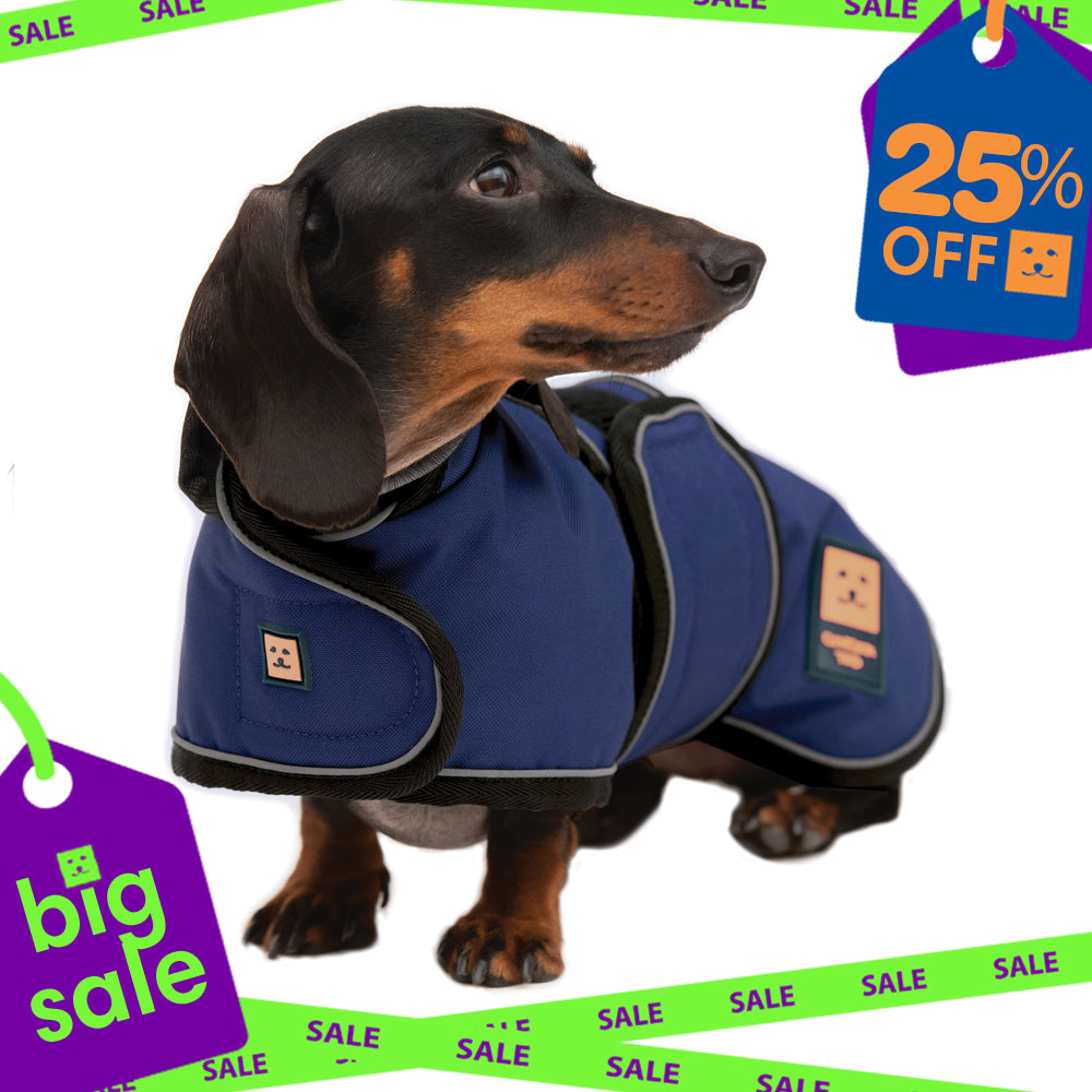 Waterproof Lightweight Dachshund Dog Coat