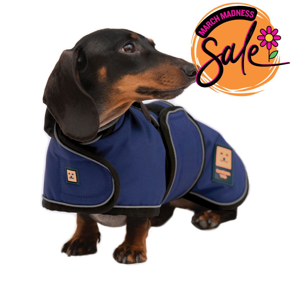 Waterproof Lightweight Dachshund Dog Coat