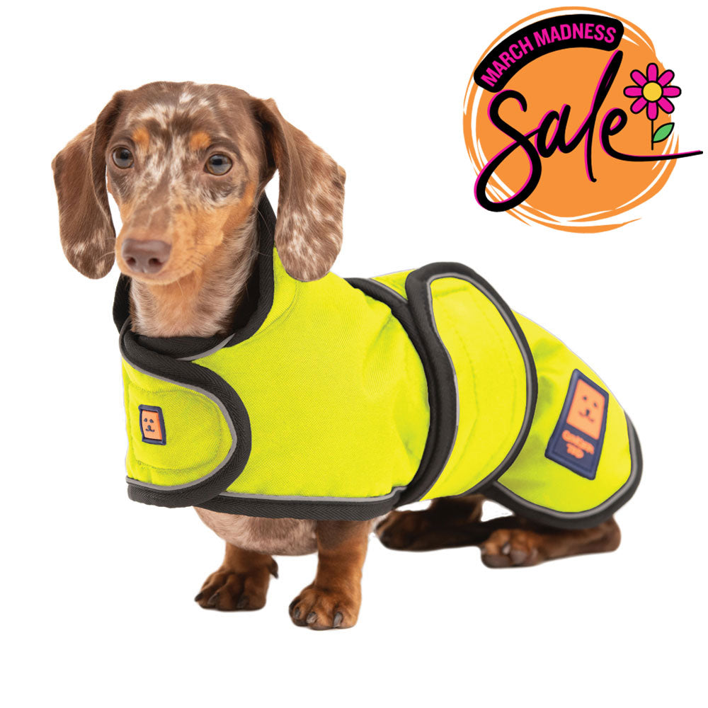 Waterproof Dachshund Dog Coat with Warm Lining