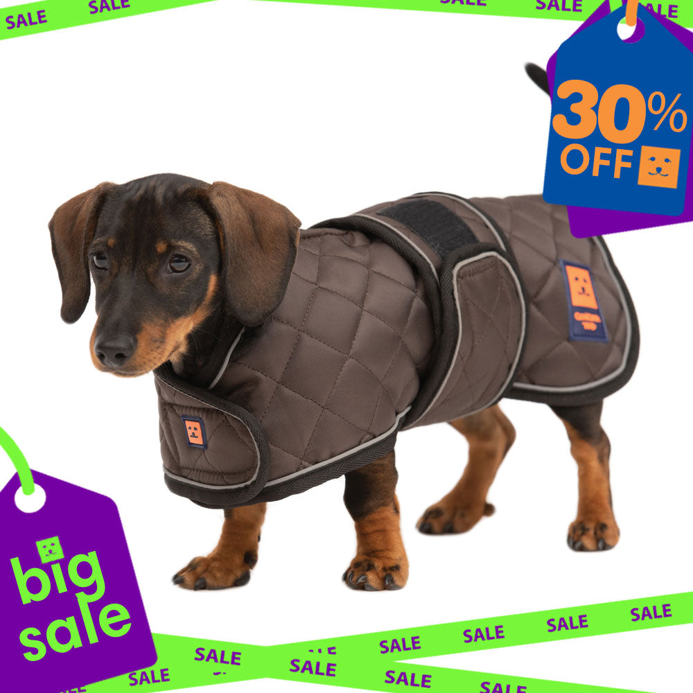 Thermal Harness Dachshund Quilted Coat