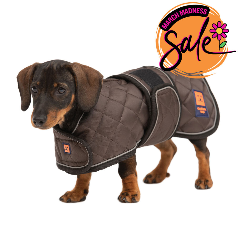 Thermal Harness Dachshund Quilted Coat