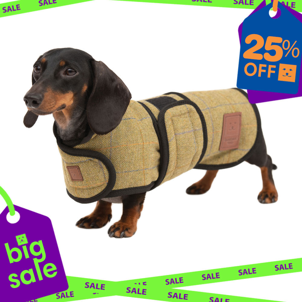 Tweed Dachshund Coat