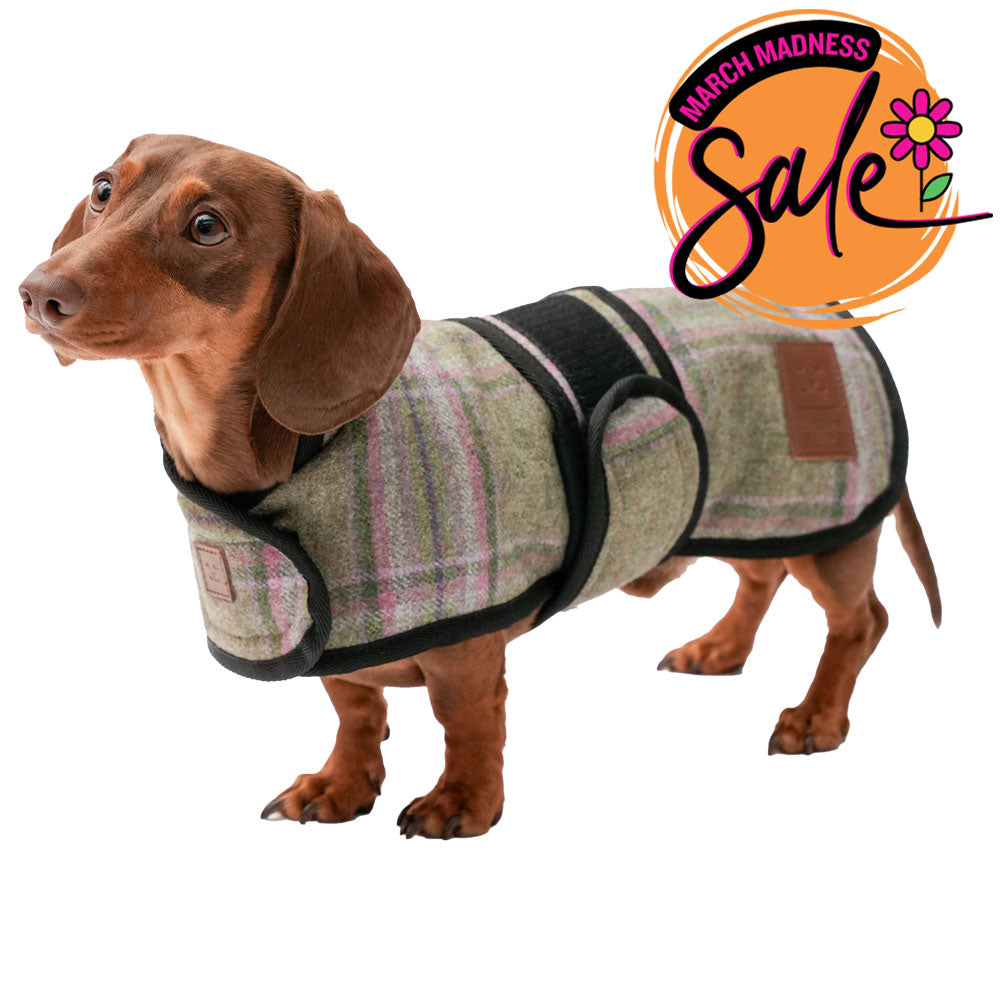 Tweed Dachshund Coat