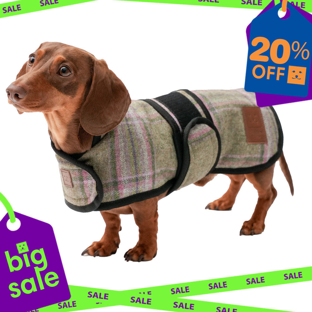 Tweed Dachshund Coat