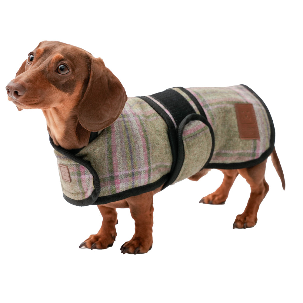 Ginger Ted Dog Clothing, Waterproof Dog Coats & Dog Jumpers