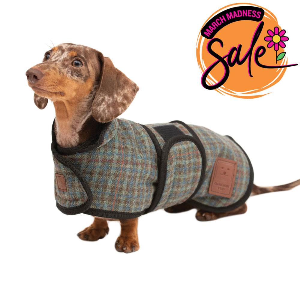 Tweed Dachshund Coat