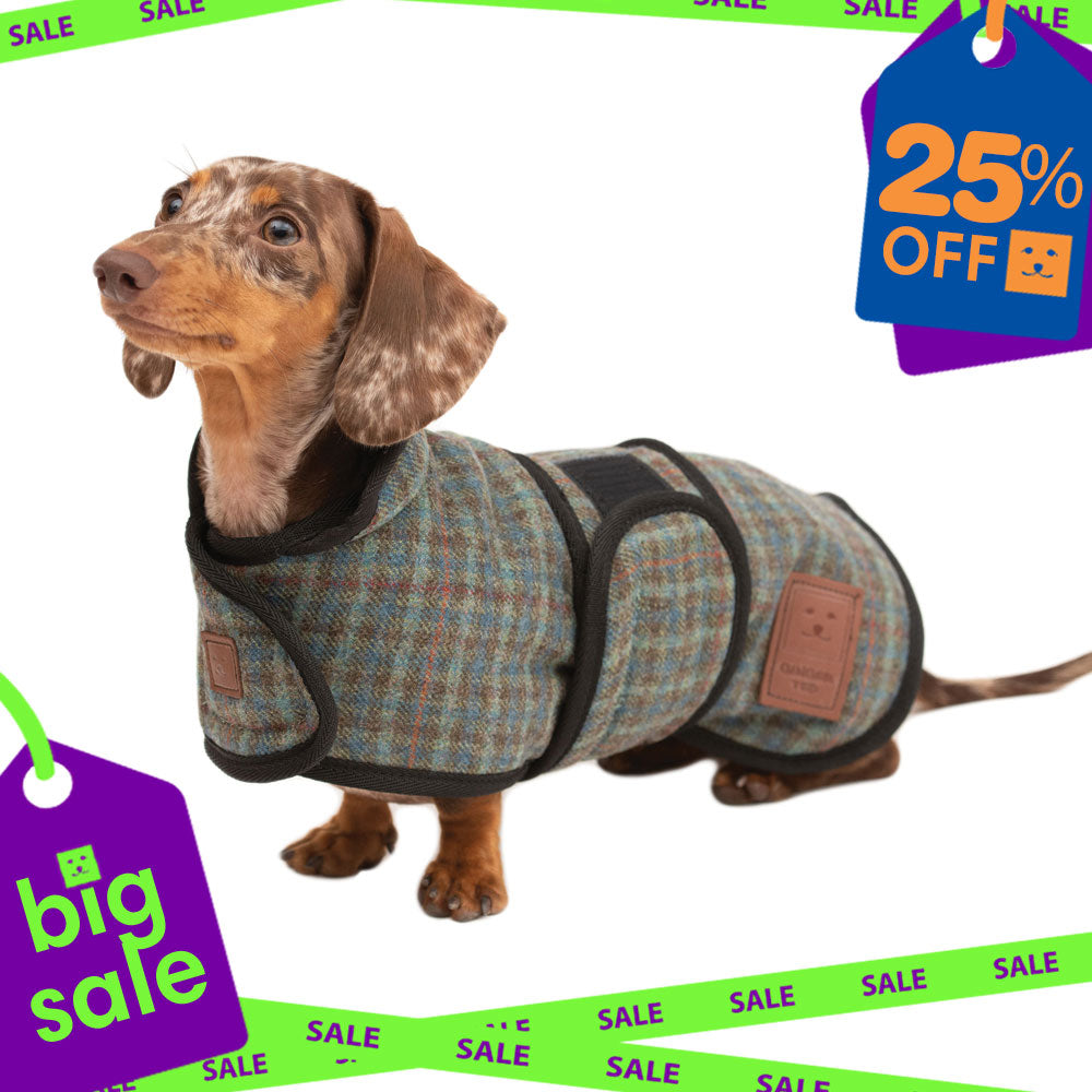 Tweed Dachshund Coat