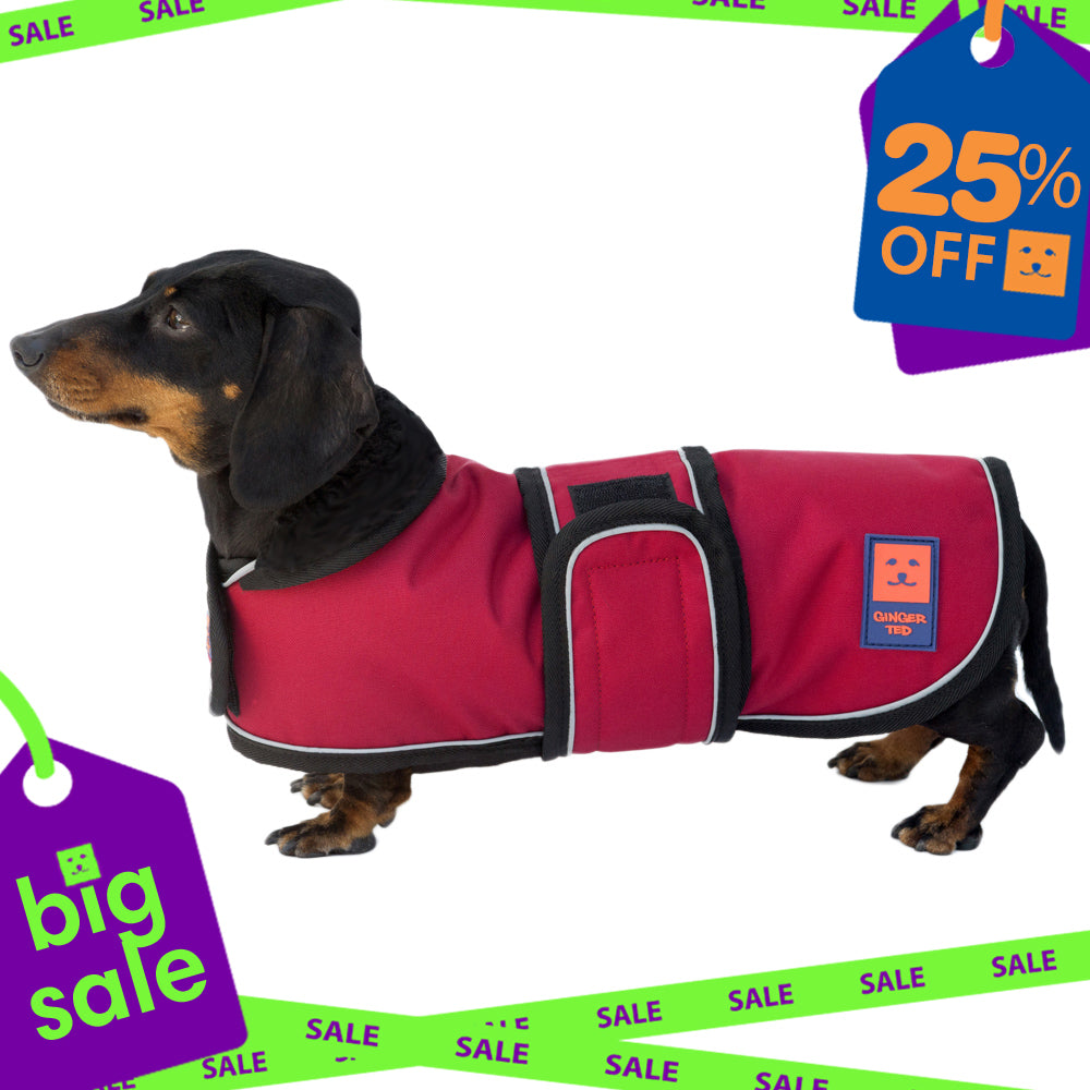 Waterproof Lightweight Dachshund Dog Coat